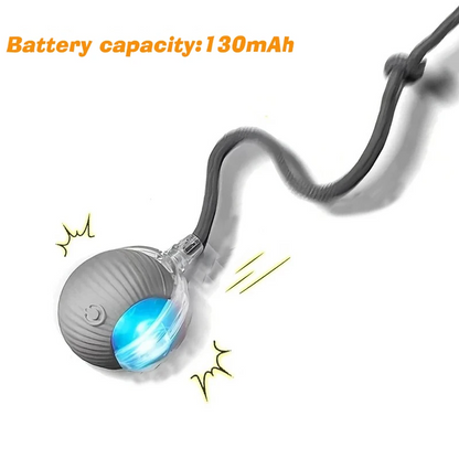 Smart Interactive Rolling Pet Toy