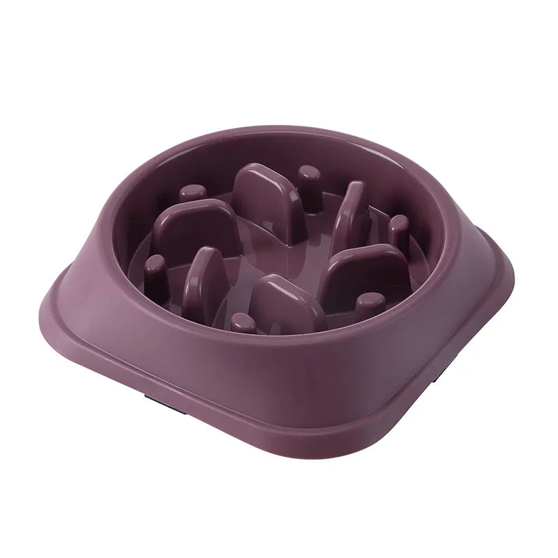Anti-Choking Slow Feed Pet Bowl