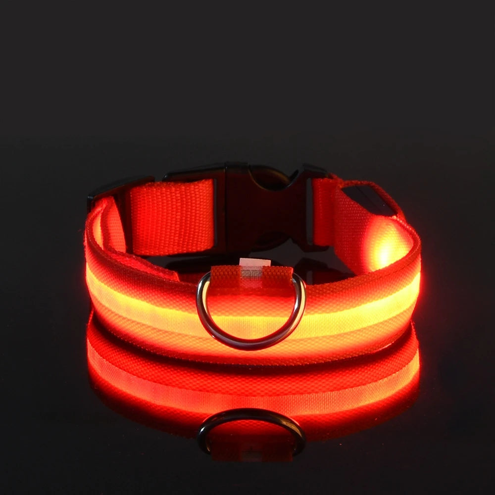 LED Safety Pet Collar