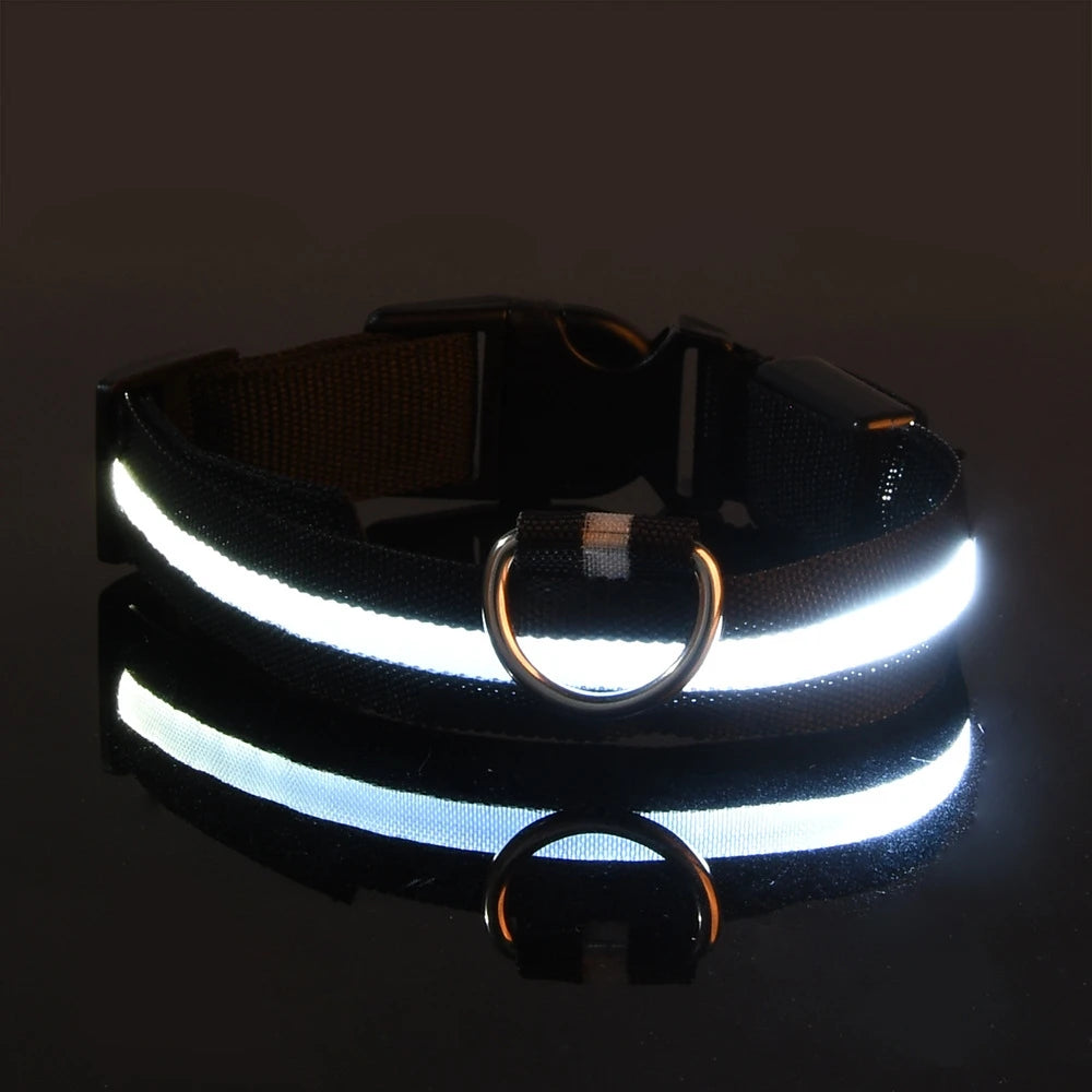 LED Safety Pet Collar
