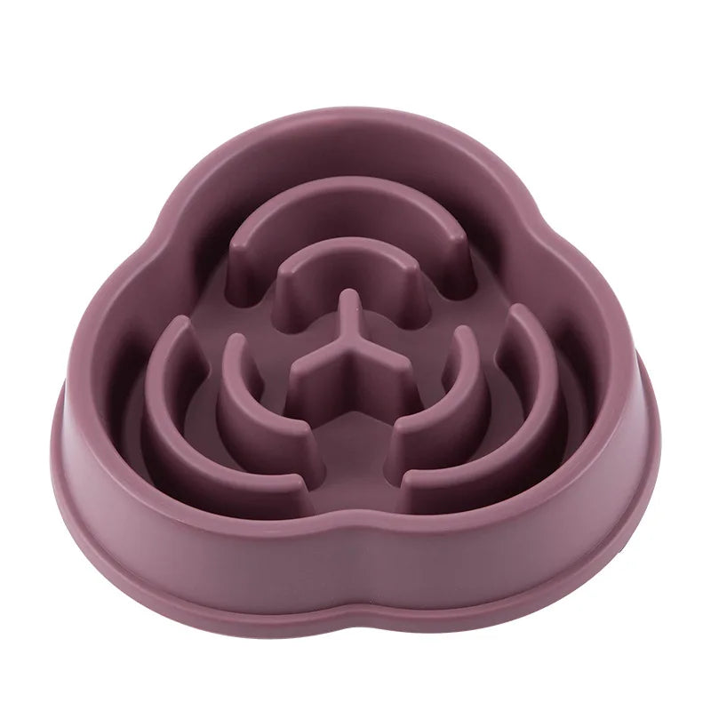 Anti-Choking Slow Feed Pet Bowl