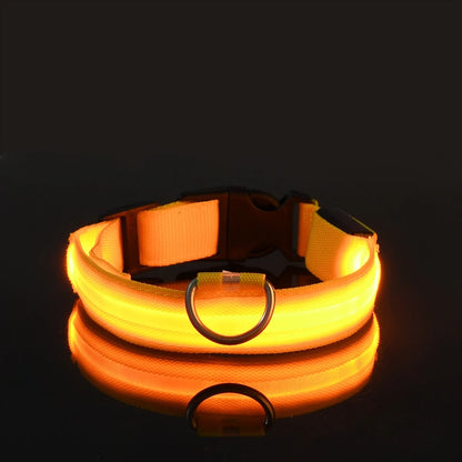 LED Safety Pet Collar