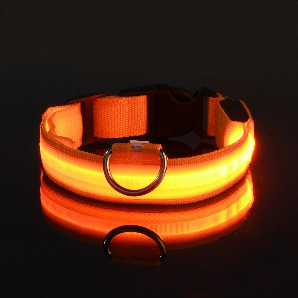 LED Safety Pet Collar