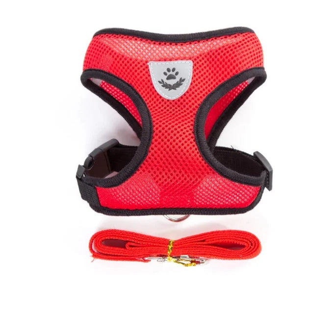 Small and Medium Dogs & Cats: Reflective Adjustable Pet Harness & Leash Set