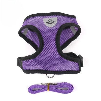 Small and Medium Dogs & Cats: Reflective Adjustable Pet Harness & Leash Set