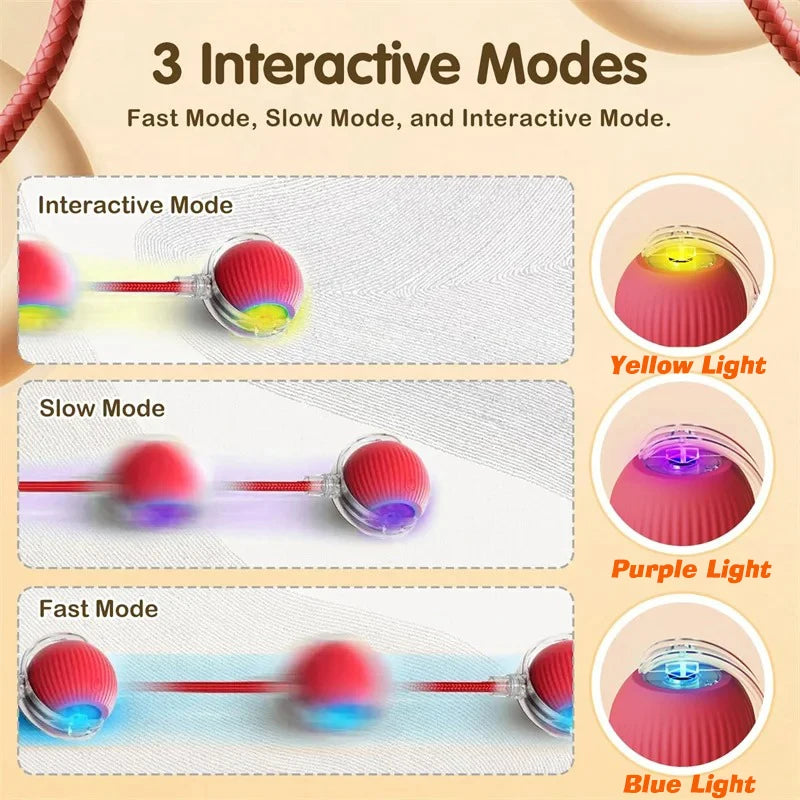 Smart Interactive Rolling Pet Toy