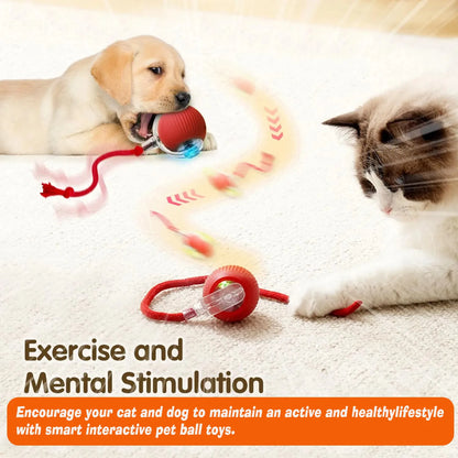 Smart Interactive Rolling Pet Toy