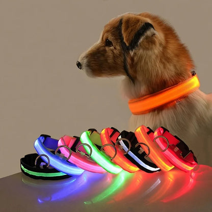 LED Safety Pet Collar