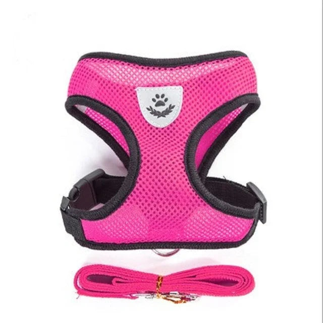 Small and Medium Dogs & Cats: Reflective Adjustable Pet Harness & Leash Set