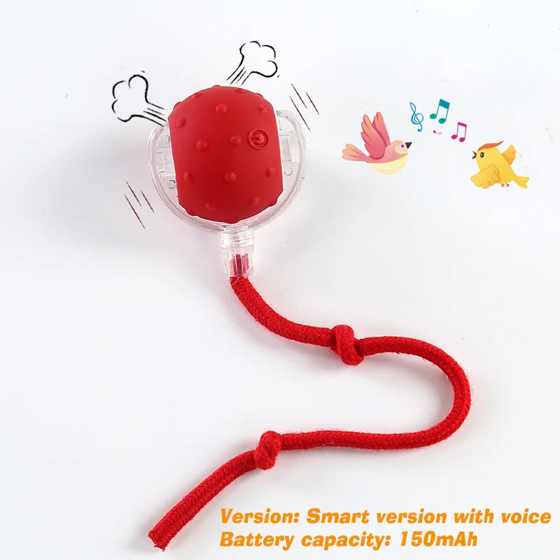 Smart Interactive Rolling Pet Toy