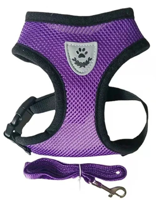 Small and Medium Dogs & Cats: Reflective Adjustable Pet Harness & Leash Set