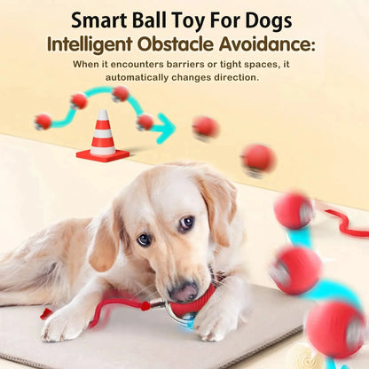 Smart Interactive Rolling Pet Toy
