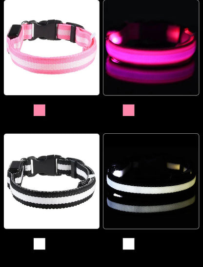 LED Safety Pet Collar