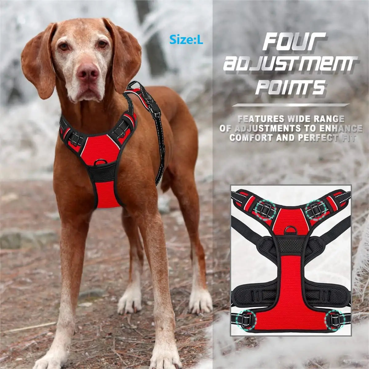 Medium and Large Dogs: Reflective Adjustable Pet Harness